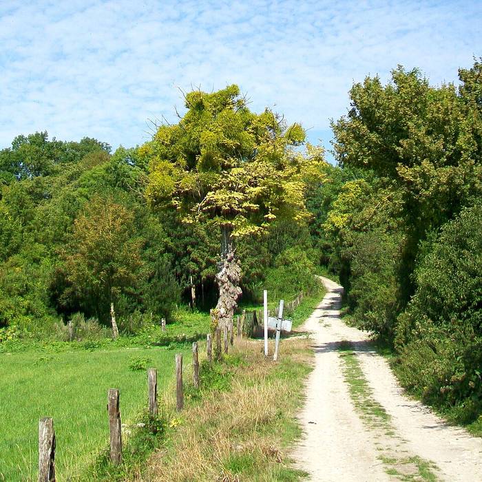 Photo de Château de Boran-sur-Oise